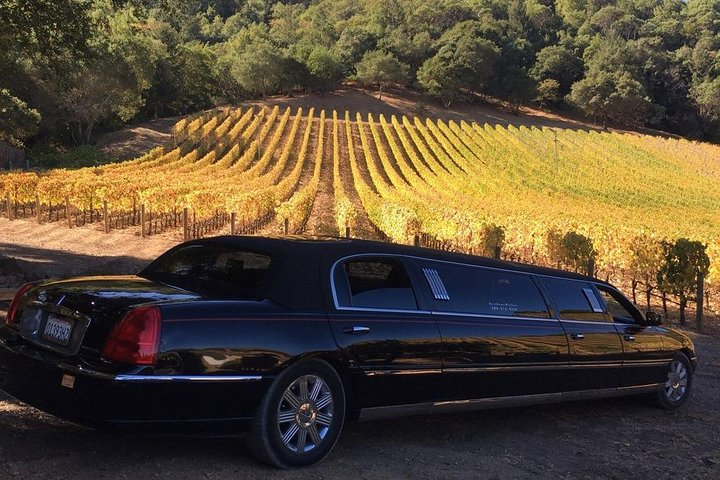 6-Hour Luxury Napa Wine Tasting Tour with Route Planning - Photo 1 of 8